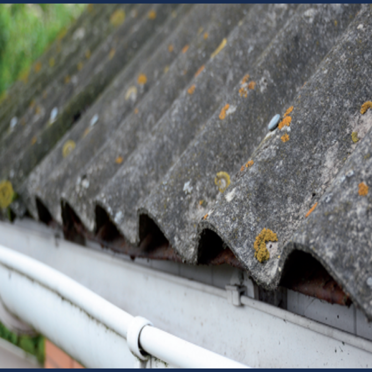 Asbestos roof